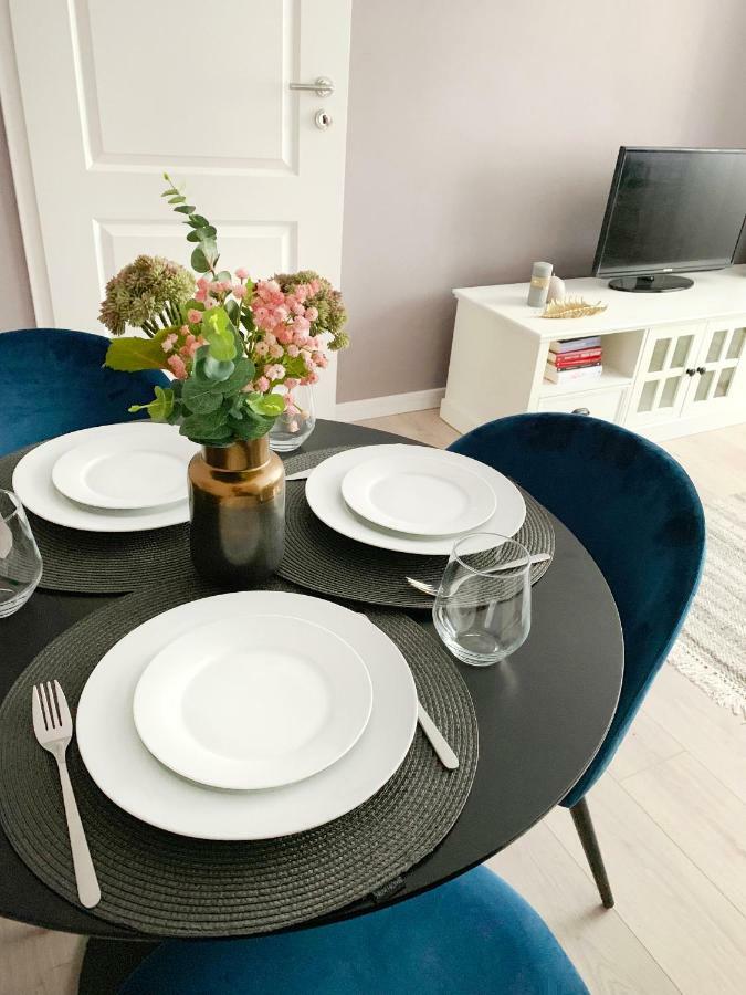 Mhc Quiet Deluxe Suite Near Downtown - Free Parking 브라쇼브 외부 사진