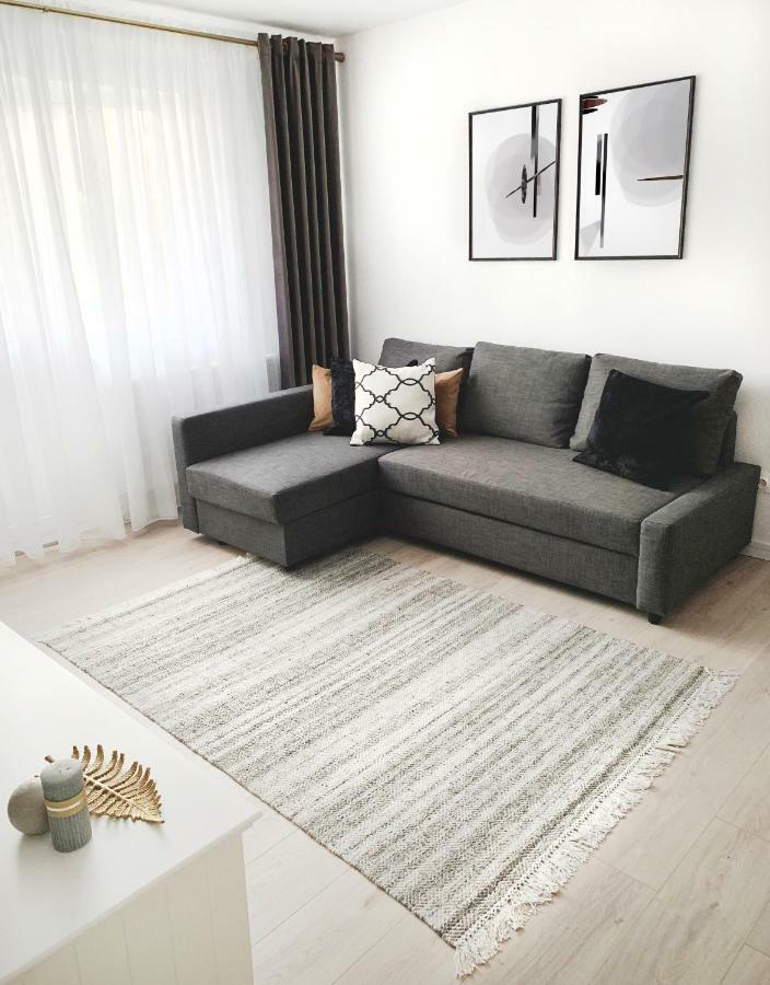 Mhc Quiet Deluxe Suite Near Downtown - Free Parking 브라쇼브 외부 사진