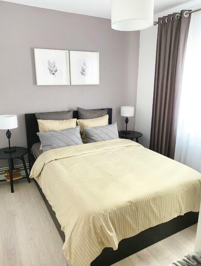 Mhc Quiet Deluxe Suite Near Downtown - Free Parking 브라쇼브 외부 사진
