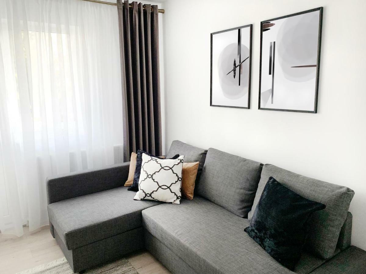 Mhc Quiet Deluxe Suite Near Downtown - Free Parking 브라쇼브 외부 사진